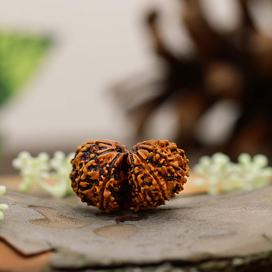 How to Choose the Right Rudraksha & Power Combinations